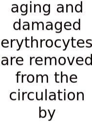 Aging And Damaged Erythrocytes Are Removed From The Circulation By