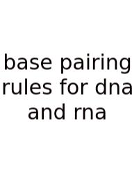 Base Pairing Rules For Dna And Rna