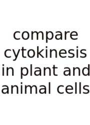Compare Cytokinesis In Plant And Animal Cells