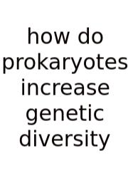 How Do Prokaryotes Increase Genetic Diversity