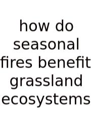 How Do Seasonal Fires Benefit Grassland Ecosystems