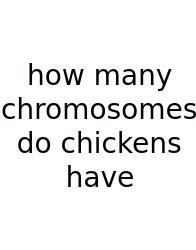 How Many Chromosomes Do Chickens Have