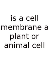 Is A Cell Membrane A Plant Or Animal Cell