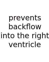 Prevents Backflow Into The Right Ventricle