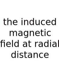 The Induced Magnetic Field At Radial Distance