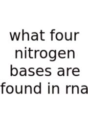 What Four Nitrogen Bases Are Found In Rna