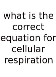 What Is The Correct Equation For Cellular Respiration