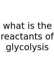 What Is The Reactants Of Glycolysis