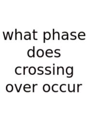 What Phase Does Crossing Over Occur