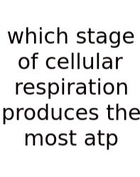 Which Stage Of Cellular Respiration Produces The Most Atp